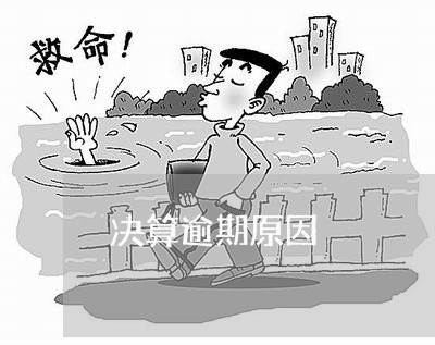 决算逾期原因