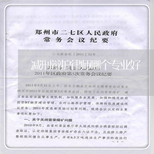 减刑辩护律师哪个专业好