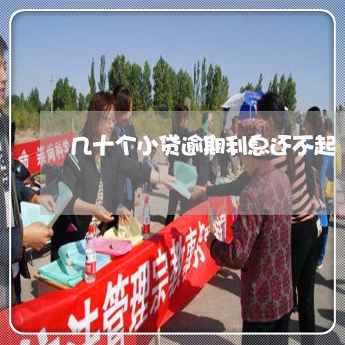 几十个小贷逾期利息还不起 几十个小贷逾期利息还不起
