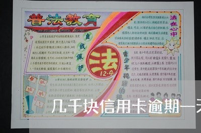 几千块信用卡逾期一天怎么办/2023110196149