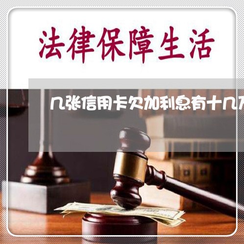 几张信用卡欠加利息有十几万 几张信用卡欠加利息有十几万
