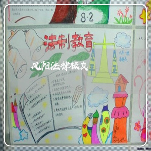凤阳法律极友