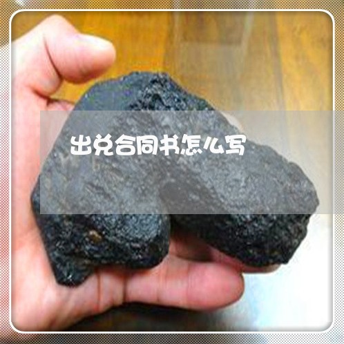 出兑合同书怎么写/2023040408259