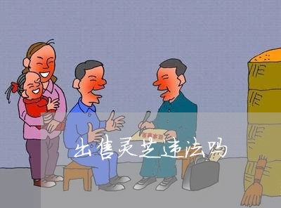 出售灵芝违法吗 出售灵芝违法吗