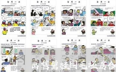 出售碧桂园毛坯房合同怎么写/2023060325957