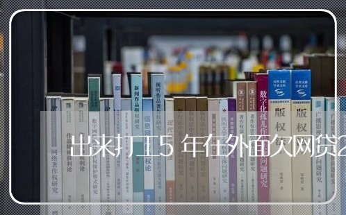 出来打工5年在外面欠网贷28万