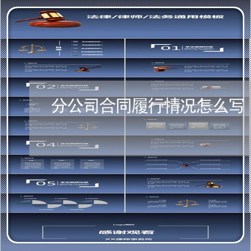 分公司合同履行情况怎么写/2023041703915