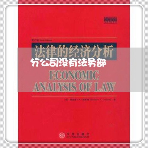 分公司没有法务部 分公司没有法务部