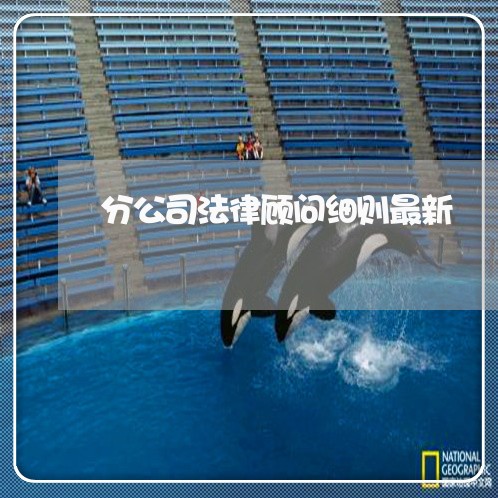 分公司法律顾问细则最新 分公司法律顾问细则最新