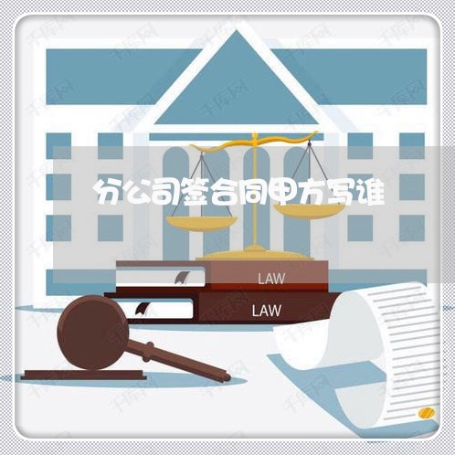 分公司签合同甲方写谁/2023011794858