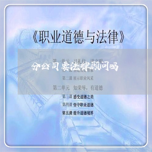 分公司要法律顾问吗/2023061895138