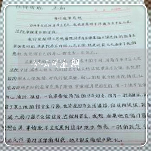 分公司逾期 分公司逾期