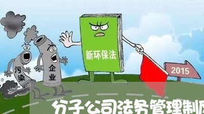 分子公司法务管理制度