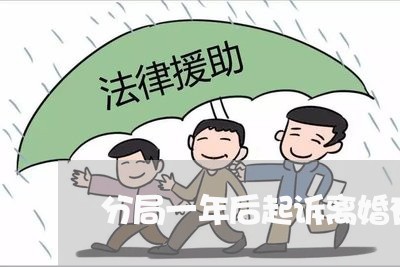 分局一年后起诉离婚有用吗/2023060203826