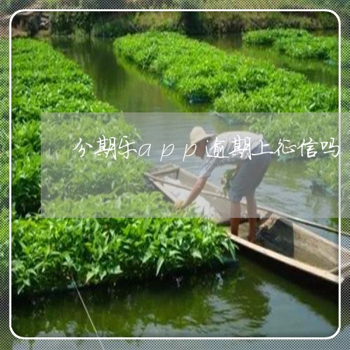 分期乐app逾期上征信吗/2023060910482