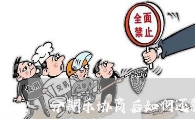 分期乐协商后如何还款/2023070973835