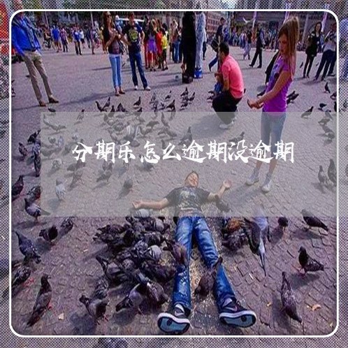 分期乐怎么逾期没逾期/2023031993150