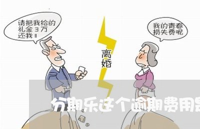 分期乐这个逾期费用是什么