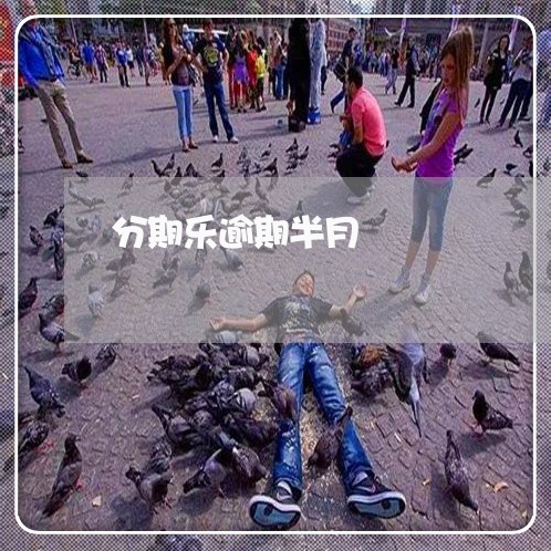 分期乐逾期半月/2023013196360 分期乐逾期半月/2023013196360