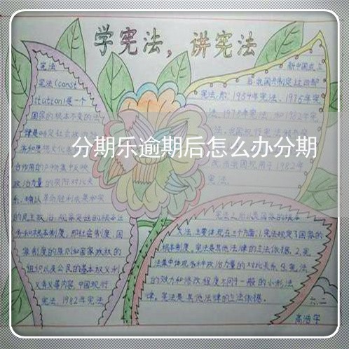 分期乐逾期后怎么办分期 分期乐逾期后怎么办分期