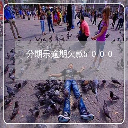 分期乐逾期欠款5000 分期乐逾期欠款5000