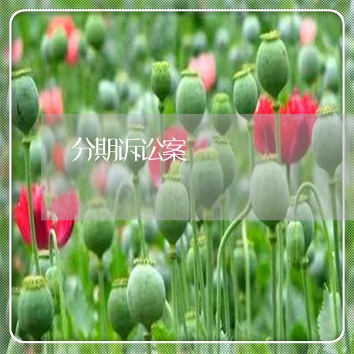 分期诉讼案