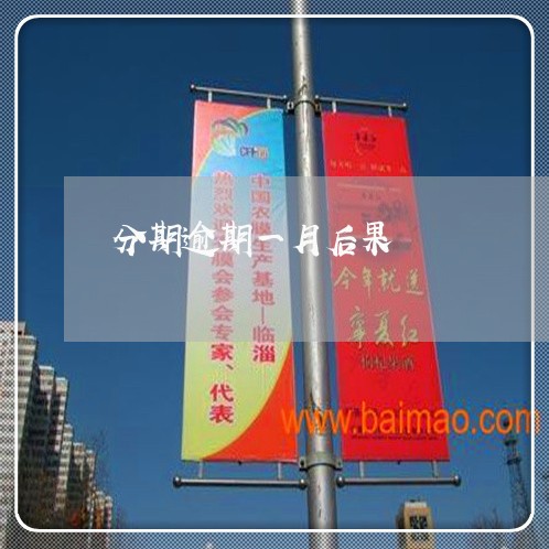 分期逾期一月后果