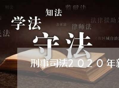 刑事司法2020年新款