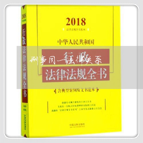 刑事同一法律关系