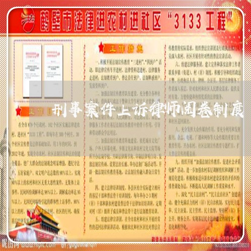 刑事案件上诉律师阅卷制度/2023060267350