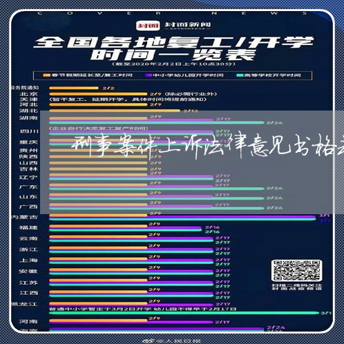 刑事案件上诉法律意见书格式范本