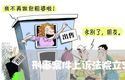 刑事案件上诉法院立案后多久开庭