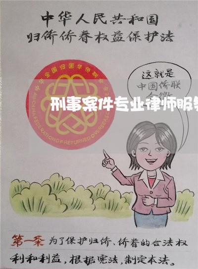 刑事案件专业律师服务费用