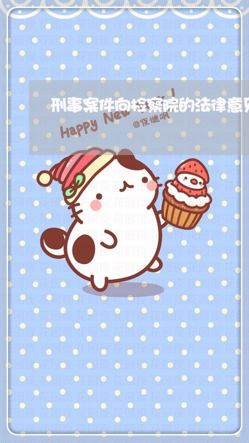 刑事案件向检察院的法律意见书 刑事案件向检察院的法律意见书