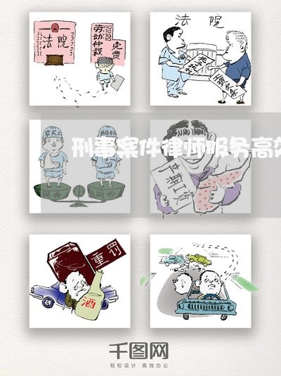 刑事案件律师服务高效指导