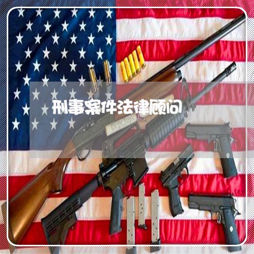刑事案件法律顾问/2023061752403