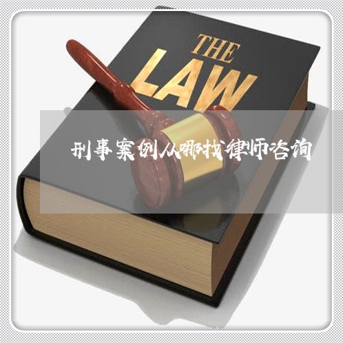 刑事案例从哪找律师咨询/2023042542604