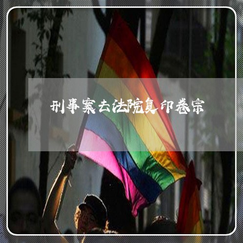 刑事案去法院复印卷宗