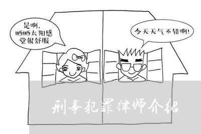 刑事犯罪律师介绍