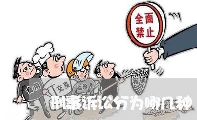 刑事诉讼分为哪几种