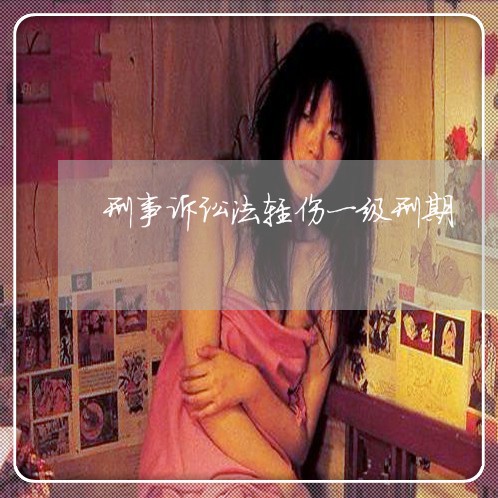 刑事诉讼法轻伤一级刑期 刑事诉讼法轻伤一级刑期