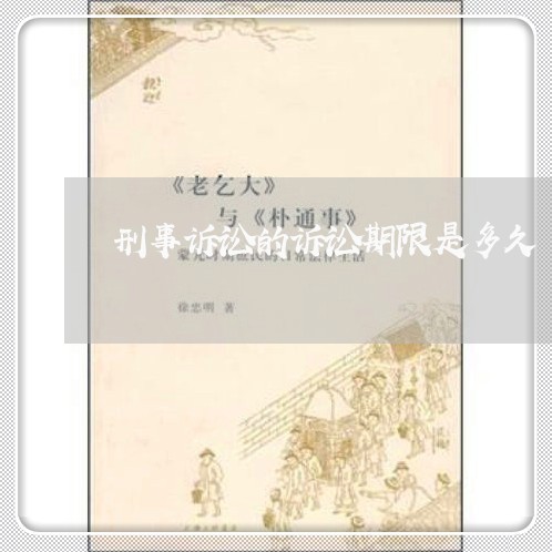 刑事诉讼的诉讼期限是多久