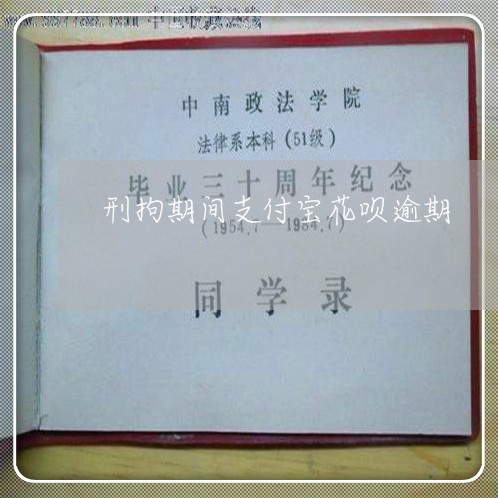 刑拘期间支付宝花呗逾期/2023012872025 刑拘期间支付宝花呗逾期/2023012872025