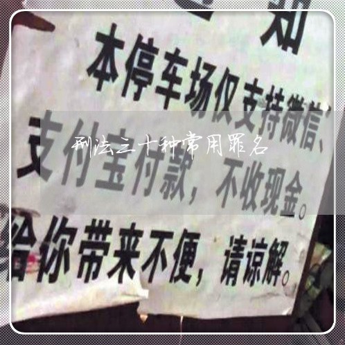 刑法三十种常用罪名