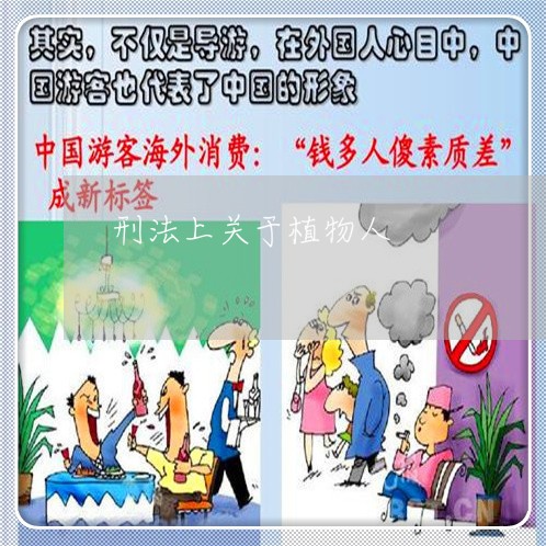 刑法上关于植物人 刑法上关于植物人