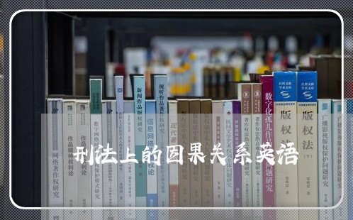 刑法上的因果关系英语 刑法上的因果关系英语