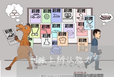 刑法上辨认能力
