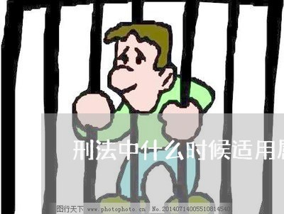 刑法中什么时候适用属人原则