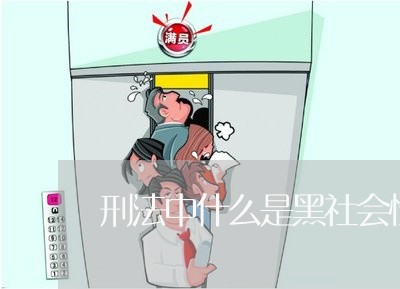 刑法中什么是黑社会性质