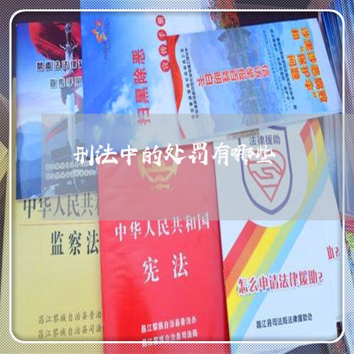 刑法中的处罚有哪些